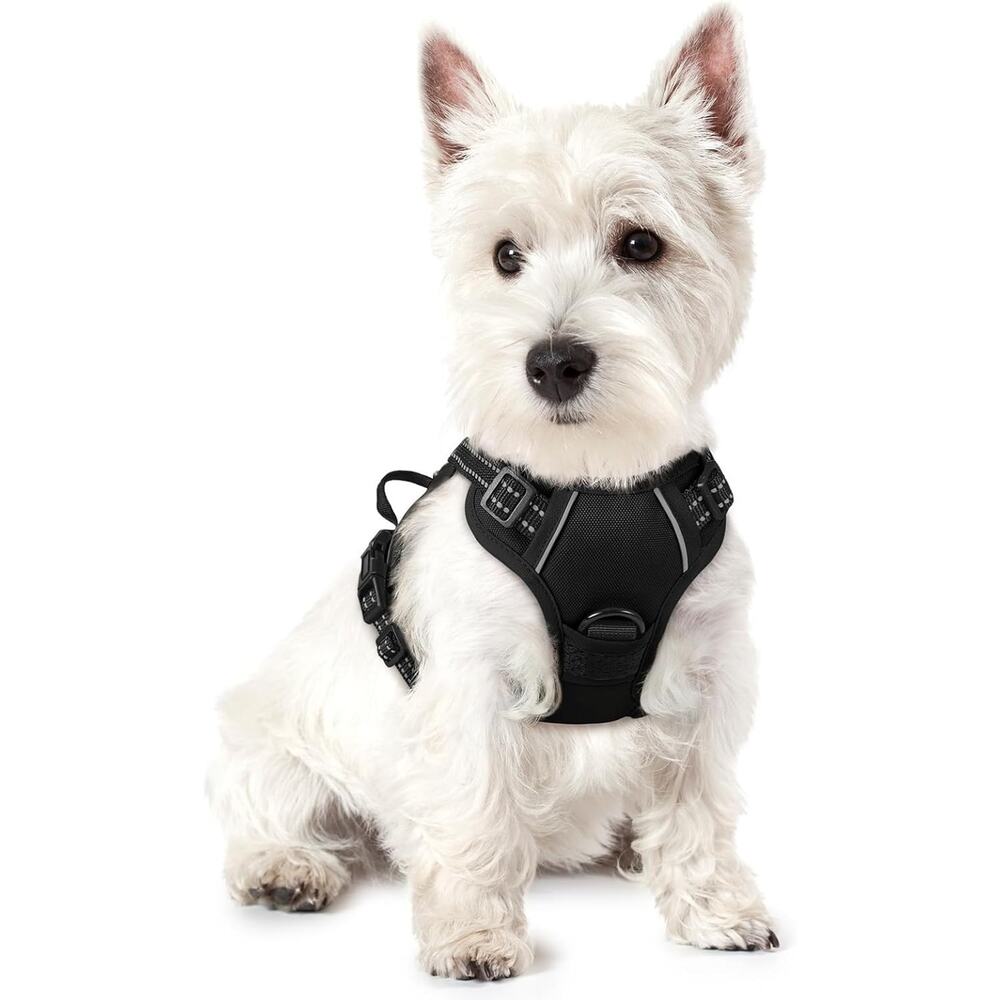 Fofunipaw Dog Harness No Pull with 2 Leash Clips, Adjustable Soft Padded, - Picture 2 of 6